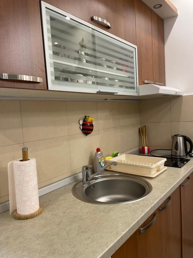 Vesna Apartman Vrnjačka Banja Zewnętrze zdjęcie