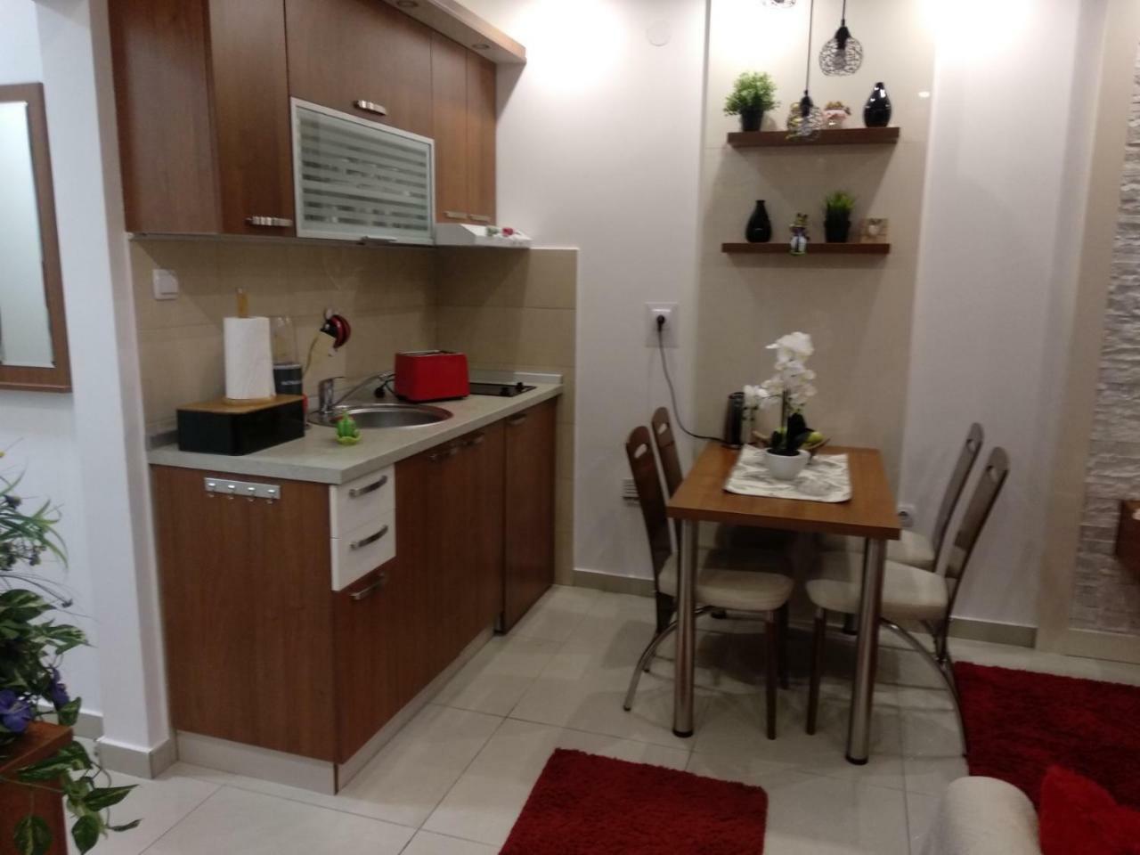 Vesna Apartman Vrnjačka Banja Zewnętrze zdjęcie